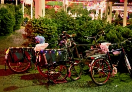 bikes at Christmas tree lot